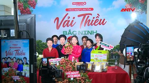 Bắc Ninh đẩy mạnh xúc tiến tiêu thụ vải thiều