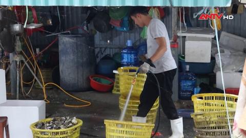 Khởi tố bị can về tội gây ô nhiễm môi trường