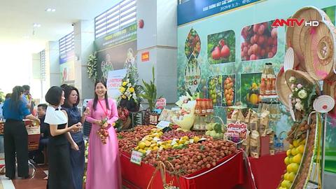 Vải thiều Bắc Ninh hướng tới chinh phục thị trường khó tính