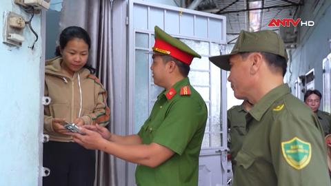 113 Online ngày 01/6/2026