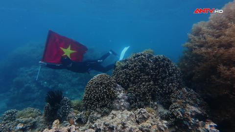 Lặn biển – trải nghiệm độc đáo dưới lòng đại dương