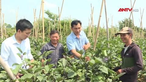 113 Online ngày 04/6/2026