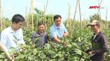 113 Online ngày 04/6/2026