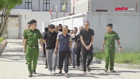 Băng nhóm săn "con mồi" có địa vị và học thức cao “say tình ảo”