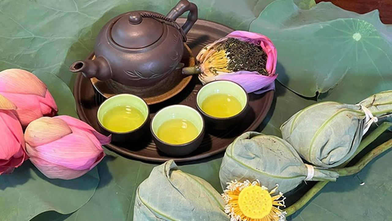 Trà sen Tây Hồ vào vụ