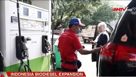 Indonesia bắt buộc sử dụng xăng pha ethanol và nhiên liệu sinh học