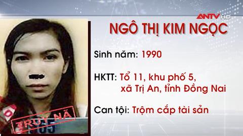 Truy nã 2 đối tượng về tội trộm cắp tài sản