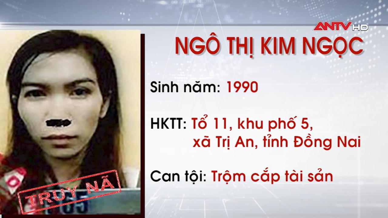 Truy nã 2 đối tượng về tội trộm cắp tài sản