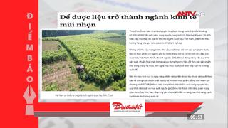 TIn tức nổi bật trên báo số ra trong tuần