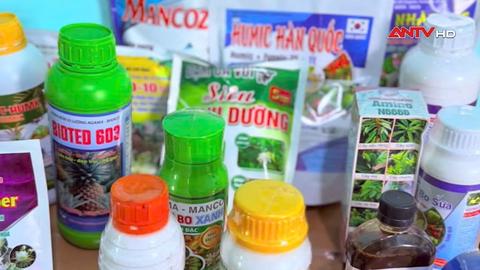 Phát hiện cơ sở sản xuất, buôn bán phân bón, thuốc bảo vệ thực vật giả