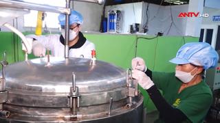 Xây dựng chuỗi liên kết để phát triển nông nghiệp bền vững