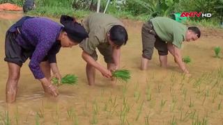 Công an xã giúp dân cấy lúa kịp thời vụ