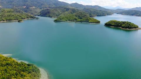 113 Online ngày 11/6/2026