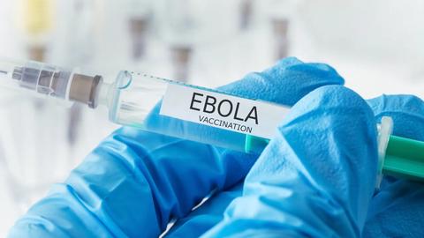 Mỹ cấp thêm 50 triệu USD hỗ trợ phát triển vaccine Ebola