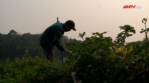 Chuyện ở Na Dương