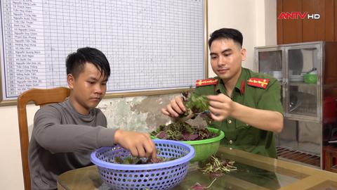 Chắp cánh ước mơ
