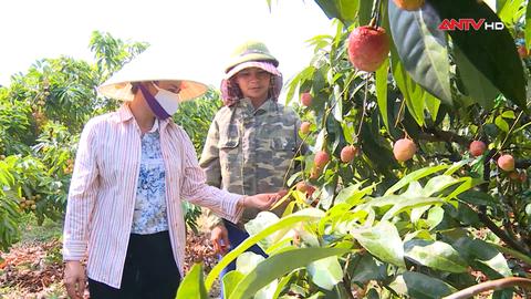 Khi an ninh nguồn sống bị đe dọa