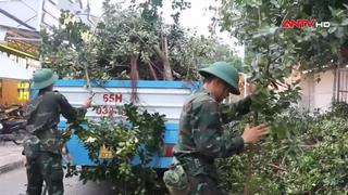 Đồng Tháp khẩn trương khắc phục thiệt hại do mưa giông, lốc xoáy