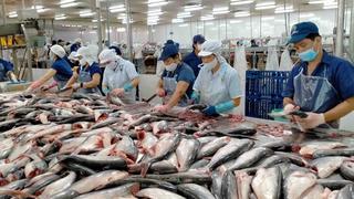 Xuất khẩu thủy sản Việt Nam tăng tốc, hướng tới mốc 12 tỷ USD
