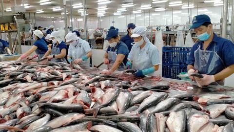 Xuất khẩu thủy sản Việt Nam tăng tốc, hướng tới mốc 12 tỷ USD