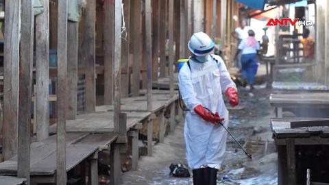 Cần 1,4 tỷ USD để ứng phó đợt bùng phát dịch Ebola