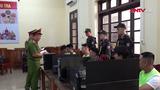 113 Online ngày 27/6/2026