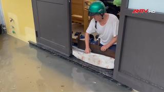 Quảng Ninh, Hải Phòng bị ngập úng sau trận mưa lớn