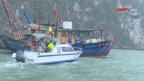 Quảng Ninh đến Khánh Hòa ứng phó áp thấp nhiệt đới khả năng mạnh lên bão