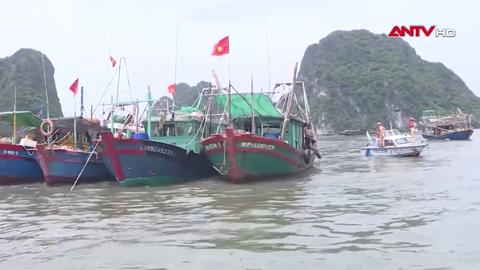 Bảo vệ người dân vùng nguy hiểm bão số 1