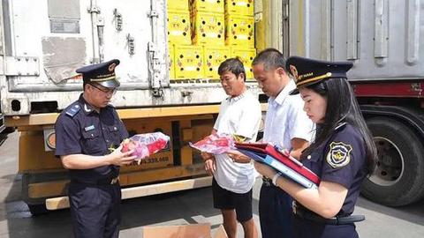Hải quan: Thu gần 265.000 tỷ đồng ngân sách