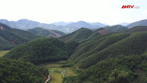 Xây lại tương lai