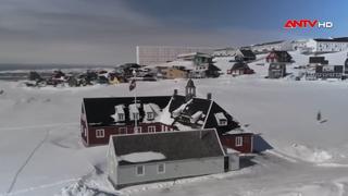 EU ủng hộ Đan Mạch trong vấn đề Greenland