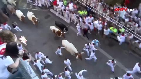Tây Ban Nha: Khai mạc lễ hội bò rượt ở San Fermin