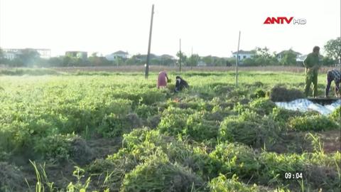Cảnh báo nắng nóng gay gắt tại khu vực Trung Bộ từ ngày 9 đến 10/7