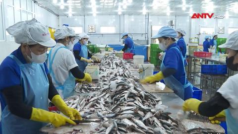 Đà Nẵng đẩy mạnh chuyển dịch kinh tế thủy sản