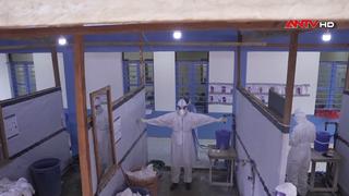 UNICEF cảnh báo nguy cơ khủng hoảng y tế do dịch Ebola