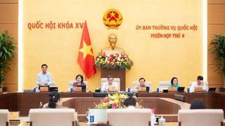 Ủy ban Thường vụ Quốc hội xem xét Báo cáo công tác dân nguyện tháng 6/2026