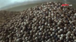 Giá tiêu tăng, giá cà phê giảm nhẹ