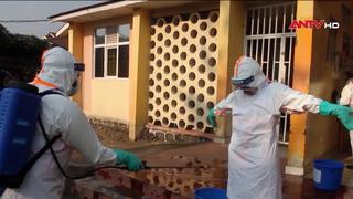 Dịch Ebola: WHO cảnh báo 80% ca bệnh không rõ nguồn lây