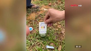 Người phụ nữ trồng cây cần sa trong vườn và trên nương