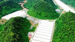 Ba người tử vong, 4 nạn nhân bị thương tại trang trại lợn ở Thanh Hóa