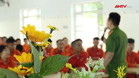 Lối mở cuộc đời