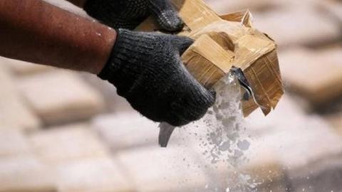 Cảnh sát biên giới Italy bắt giữ 800kg cocaine  
