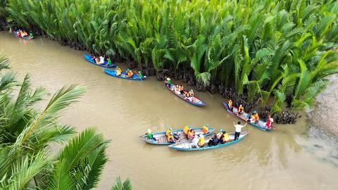 Rừng dừa nước góp phần phát triển kinh tế địa phương