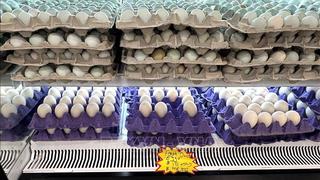 Mỹ ghi nhận gần 100 ca nhiễm khuẩn Salmonella