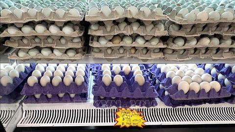 Mỹ ghi nhận gần 100 ca nhiễm khuẩn Salmonella