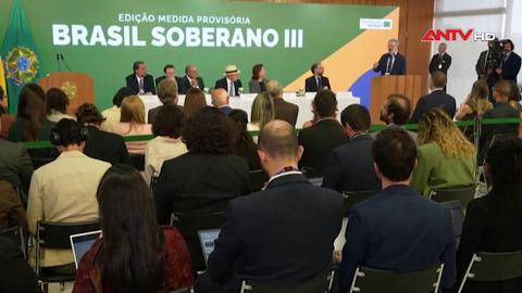 Chile và Brazil nỗ lực ứng phó chính sách thuế mới của Mỹ