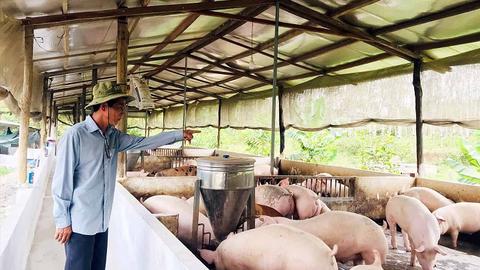 Cần siết chặt an toàn, vệ sinh lao động tại các trang trại 