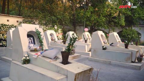 Ngọn nến tri ân