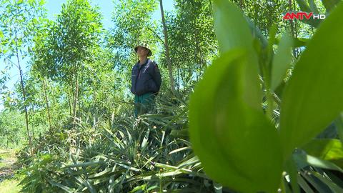 Giữa những ngã rẽ